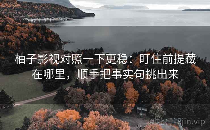柚子影视对照一下更稳：盯住前提藏在哪里，顺手把事实句挑出来